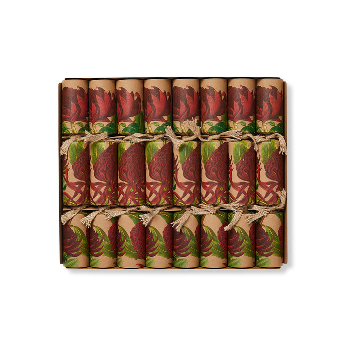 Eco-Friendly, Waratah 12