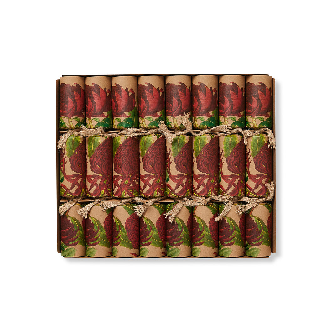Eco-Friendly, Waratah 12
