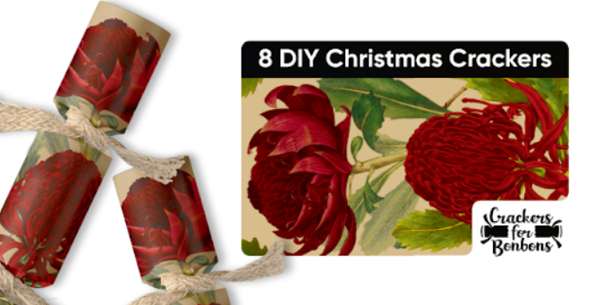 DIY - Eco Waratah, Pack of 8 | Bonbon Crackers