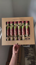 Load and play video in Gallery viewer, Bulk buy, Eco-Friendly, Waratah 12&quot;, Box of 48 units | Bonbon Crackers
