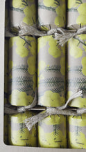 Load and play video in Gallery viewer, Eco-Friendly, Wattle 12&quot;, Box of 8 | Bonbon Crackers
