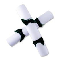 Load image into Gallery viewer, Luxury, Christmas Snowfall, Ultra High Quality, Handmade Bon Bon - Box of 8 | Bonbon Crackers
